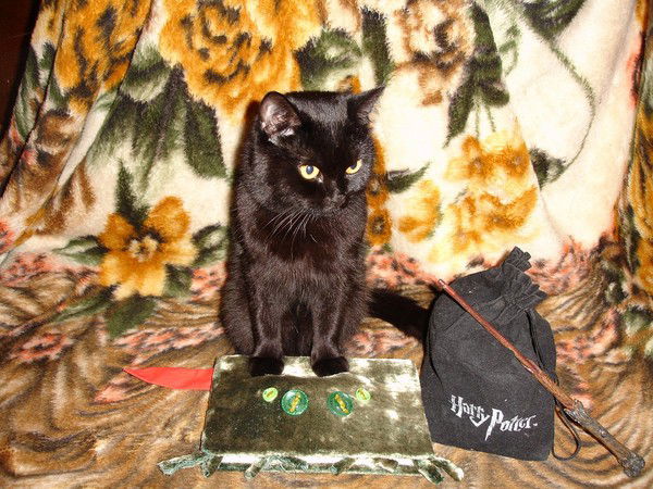 Елена Богданова