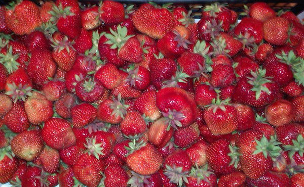 Natali Stanislavchuk