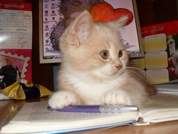 Руслан Гайсин