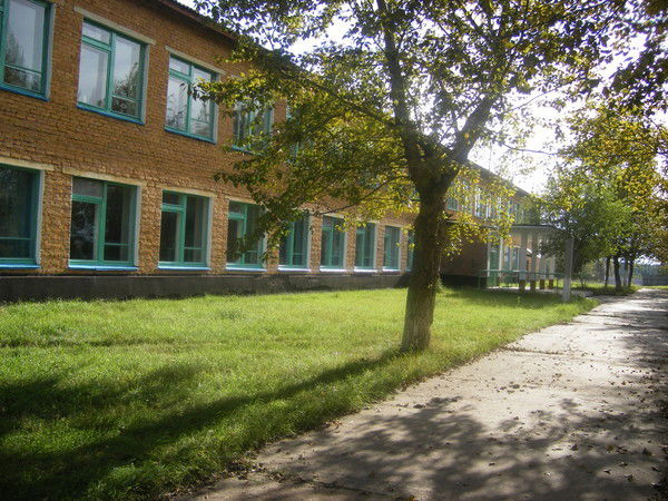 Елена Лашук