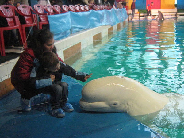 Наталия Корнева