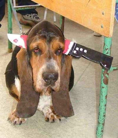 Санек Липский