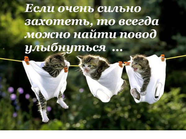 Нина Асакасинская