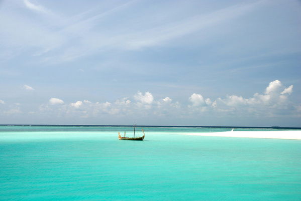 Алексей Носков