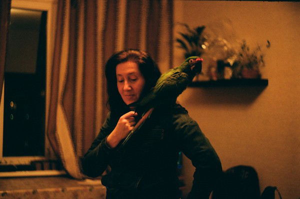 Елена Киселева