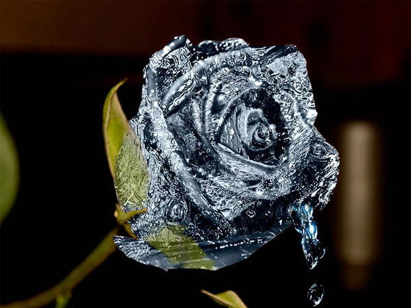 *****солнышко *****