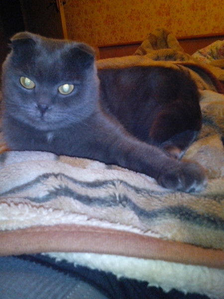 Юрий Громов