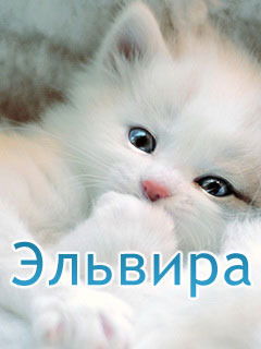 Эльвира Фаррахова