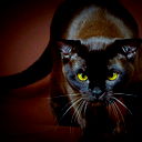 Demon *****