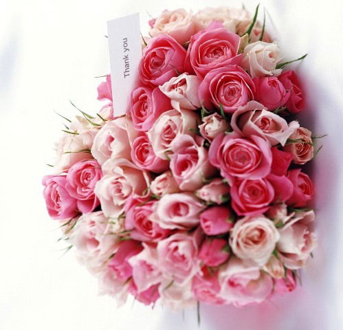 Мээрим Алайбек Кызы