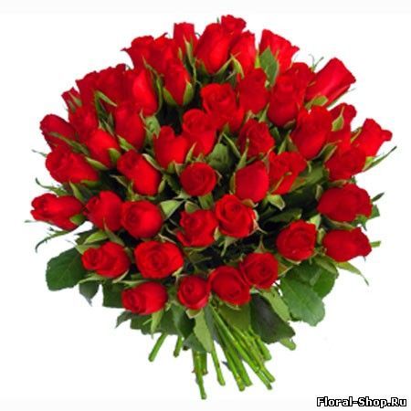 Екатерина Алексейцева