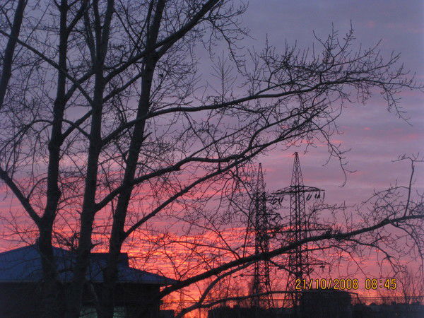 Юлия Уткина