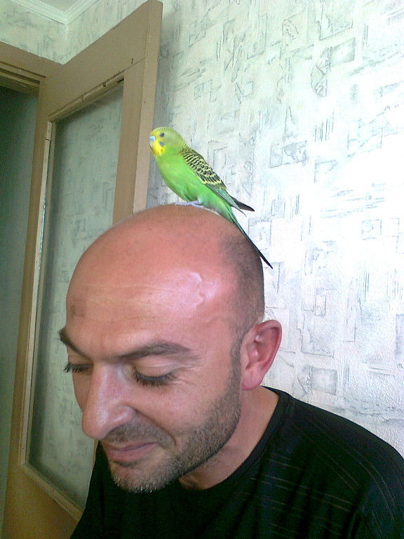 Вильям Гущян