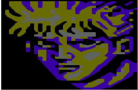 Руслан Шабазов