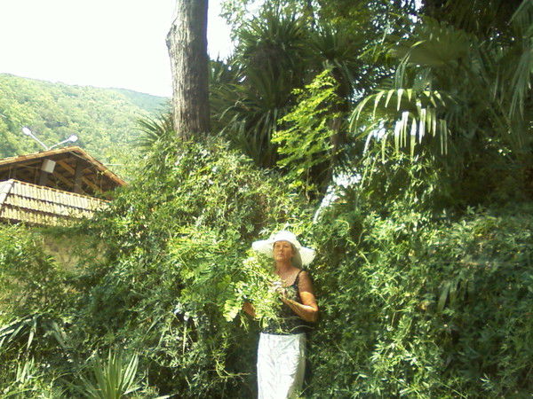 Светлана Карамышева