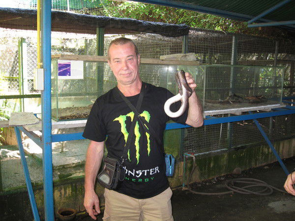 Алексей Лоскутников