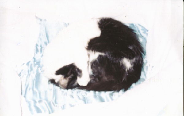 Татьяна Галаган