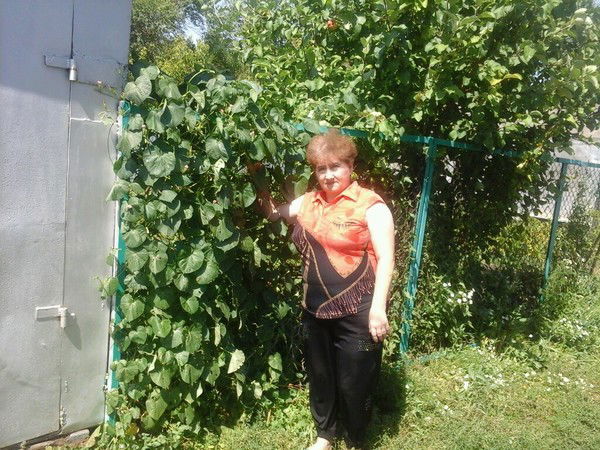 Татьяна Герцог