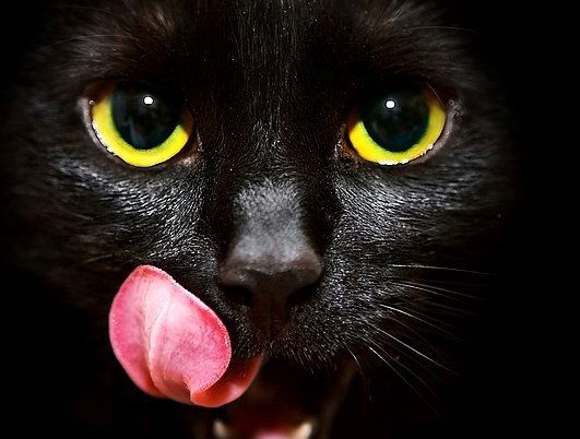 Олеся Батаева