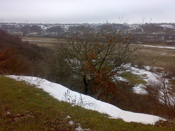 Магомедкамиль Сулейманов