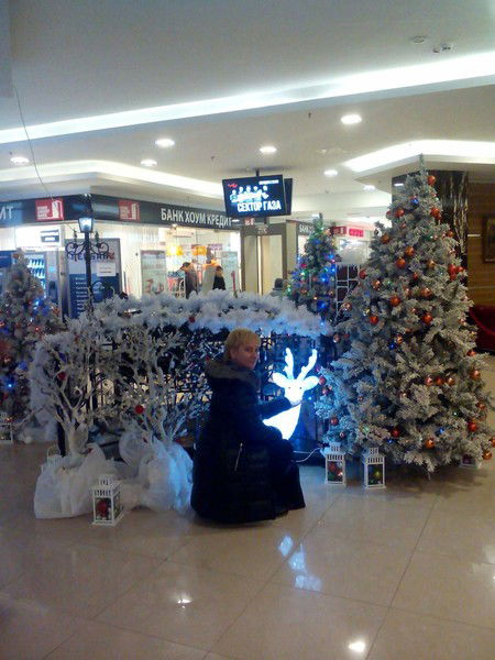 Катерина Липина