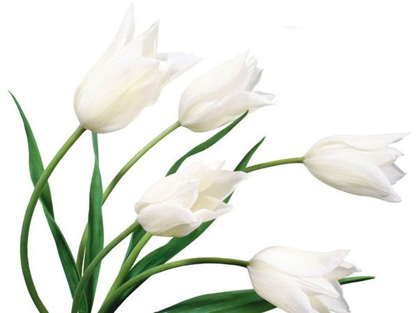 Ольга Старовойт