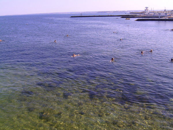 Николай Дружинин