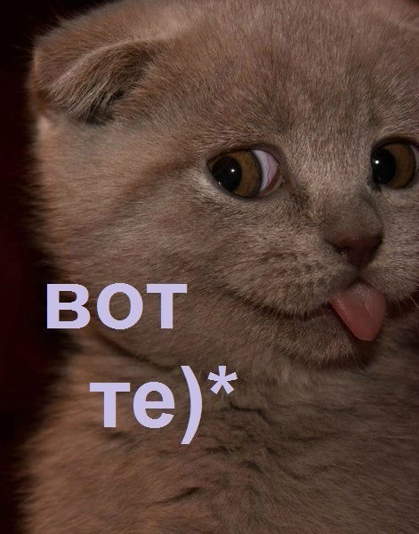 *****svetik***** Хроменко