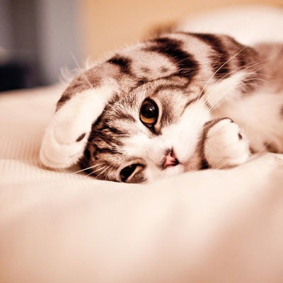 Кристина Ситникова