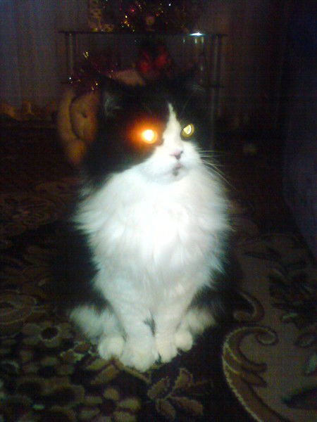 Алла Мазакова