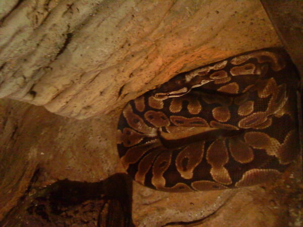 Александр Ушинский