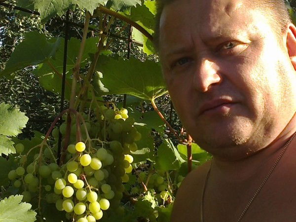 Владимир Вершинин