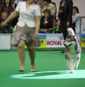 Алексей Штандаров