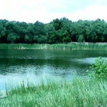 Наталья Иванова