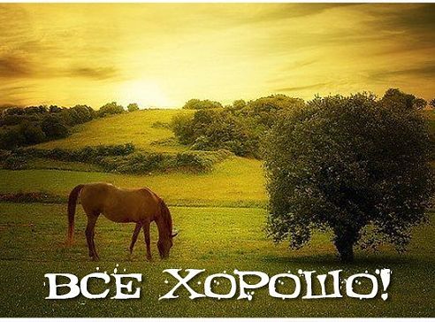 Даниил Шейко