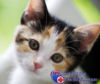 Ажар Байпакова