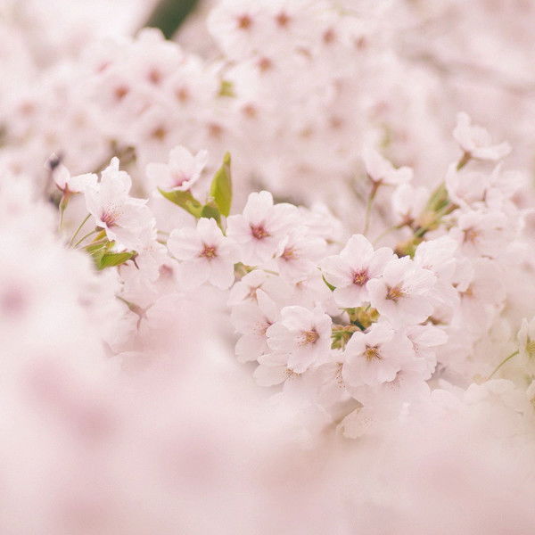 Абду Наимзод