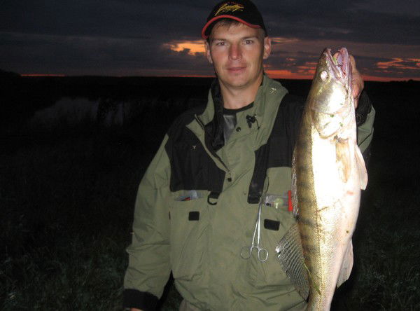 Марат Никитенко