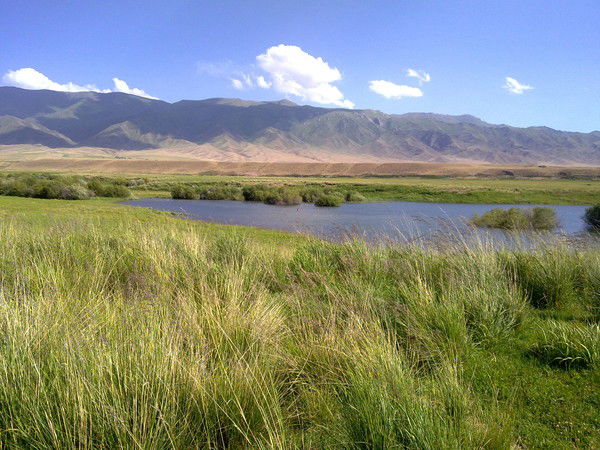 Мирлан Самаков