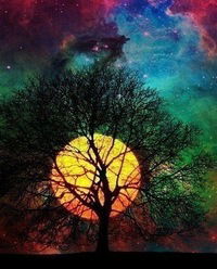 Татьяна Ростовская