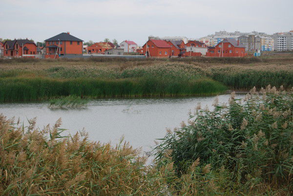 Сергей Зубков