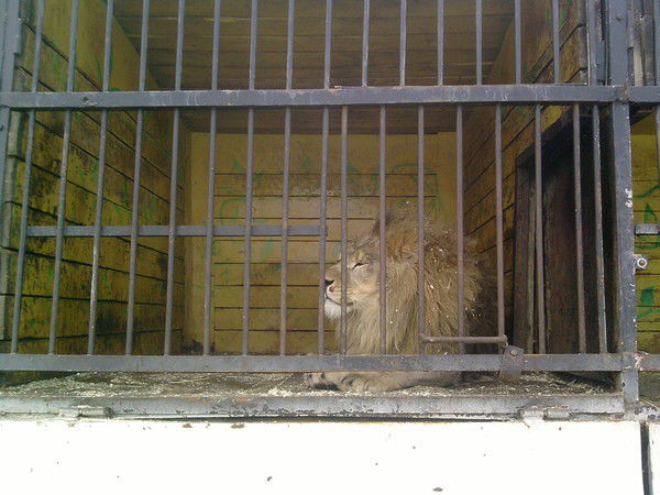 Эдуард Вокуев