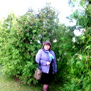 Ирина Шило