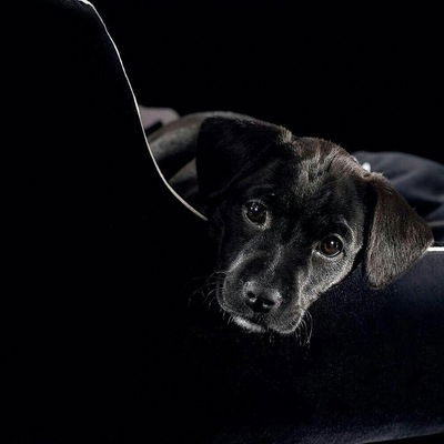 Нина Давлетьянова