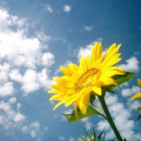 Ірина Касянчук