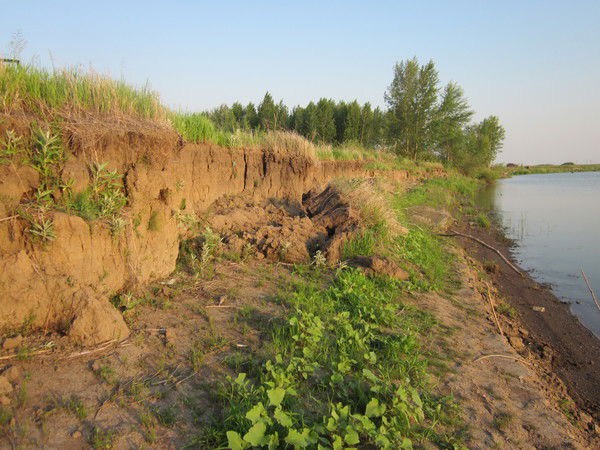 Анатолий Говоров