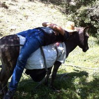 Элвин Аббасов