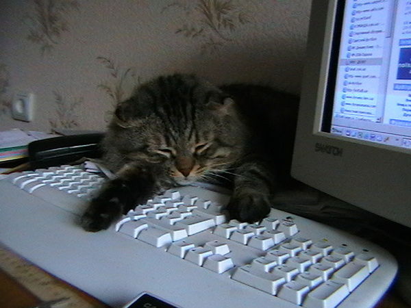 Любовь Шевченко