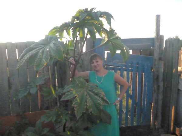 Лариса Зубова