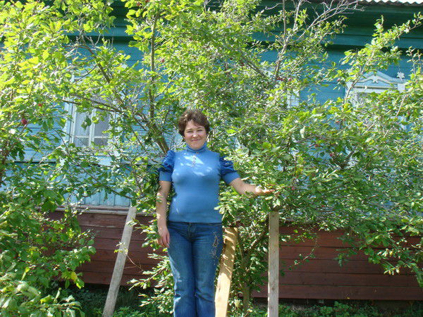 Светлана Швец